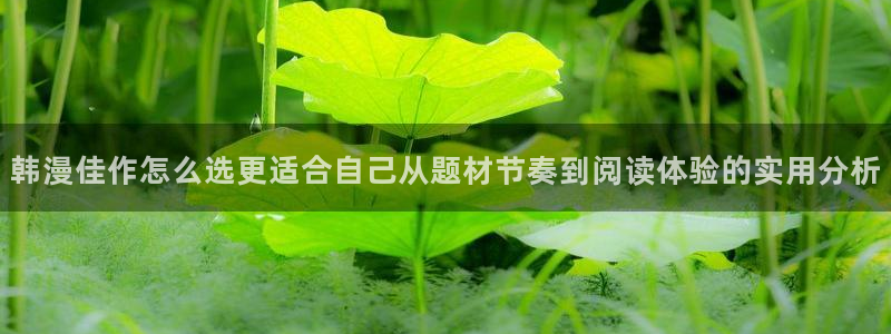 歪歪漫画漫画推荐:韩漫佳作怎么选更适合自己从题材节奏到阅读体验的实用分析