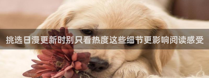 歪歪漫画人气漫画:挑选日漫更新时别只看热度这些细节更影响阅读感受